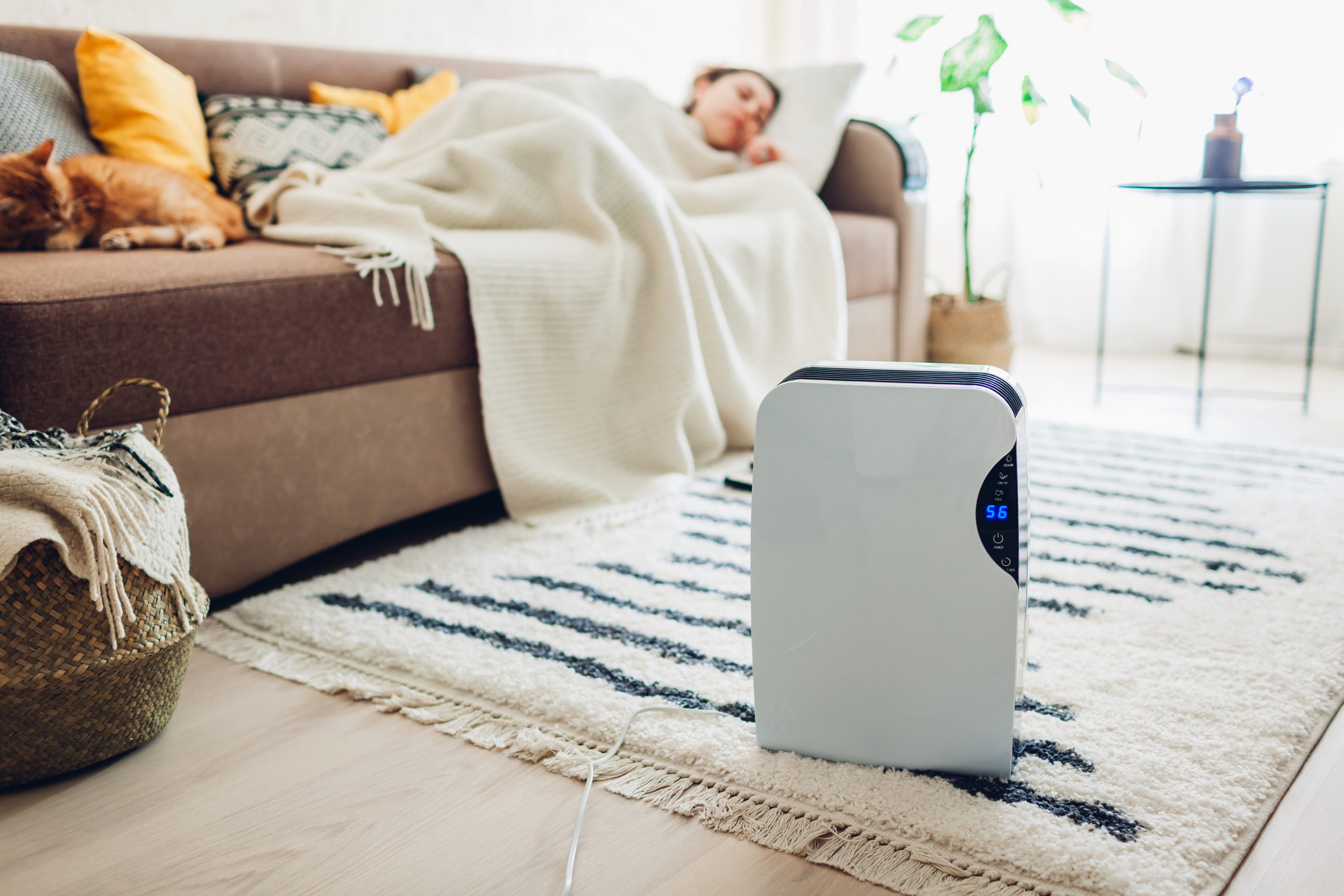 Mejora el ambiente de tu hogar con un Deshumidificador