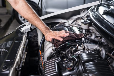 limpiar el motor del coche