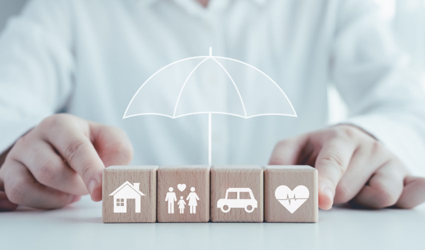 iconos descriptivos de seguros de vida, hogar, salud y coche
