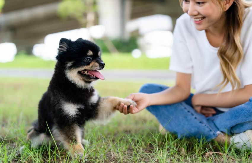 mascota con su dueña