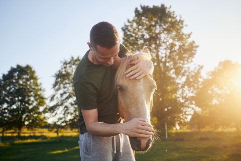 hombre acariciando un caballo