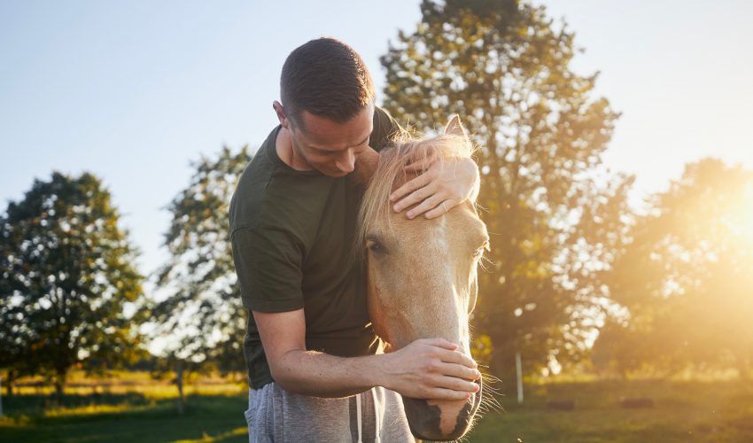 hombre acariciando un caballo