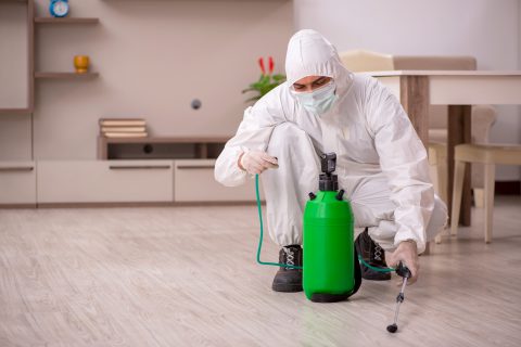 hombre fumigando un hogar