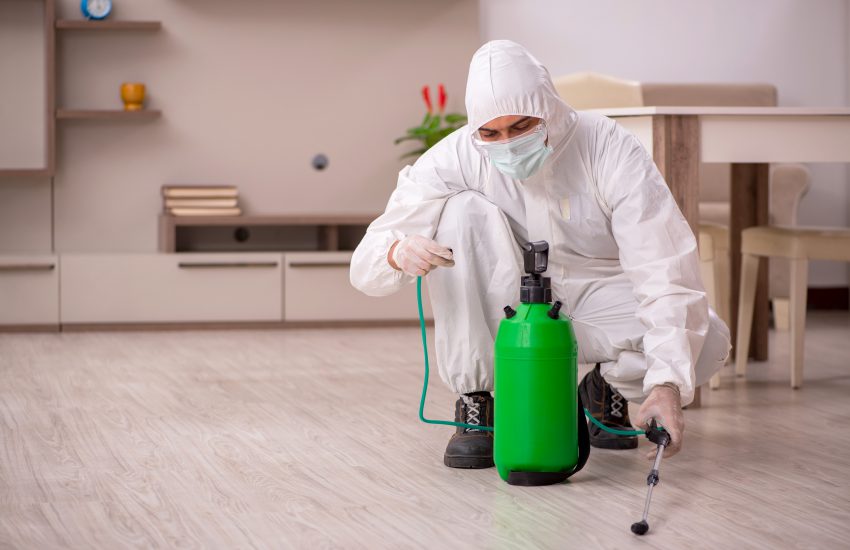 hombre fumigando un hogar