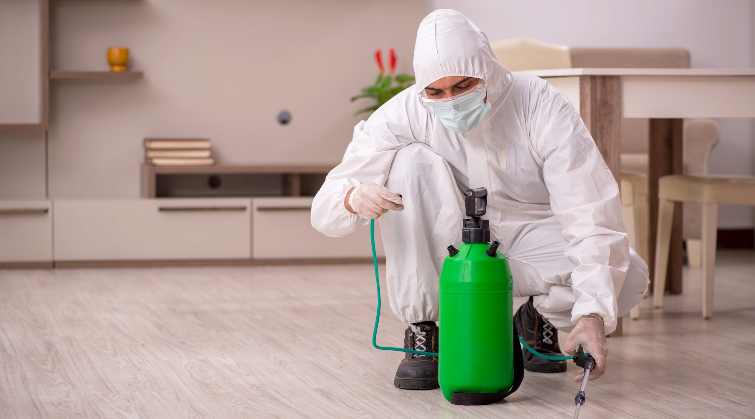 hombre fumigando un hogar